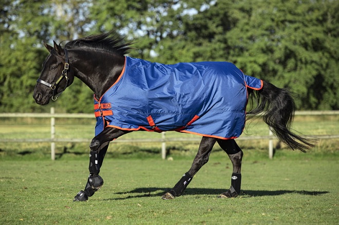 COPERTA PADDOCK HORSEWARE MIO 200 Ggr. Paddock Medium 